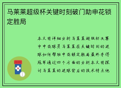 马莱莱超级杯关键时刻破门助申花锁定胜局